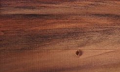 Rarefind Timber - Tulip Tree