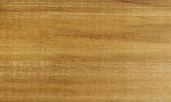 Rarefind Timber - Tulip Tree