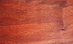 Rarefind Timber - Black Walnut