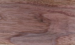 Rarefind Timber - Black Walnut