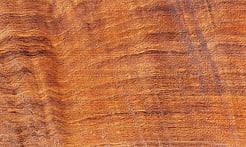 Rarefind Timber - Black Walnut
