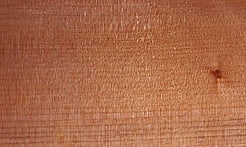 Rarefind Timber - Kauri