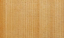 Rarefind Timber - Kauri