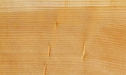 Rarefind Timber - Kauri