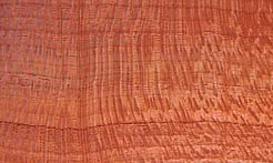 Rarefind Timber - Silly Oak