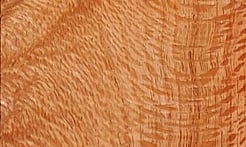 Rarefind Timber - Silly Oak