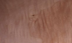 Rarefind Timber - Poplar