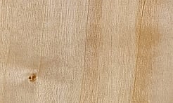 Rarefind Timber - Poplar