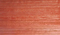 Rarefind Timber - Saligna