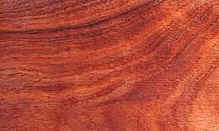 Rarefind Timber - Australian Blackwood