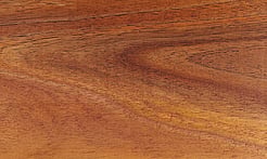 Rarefind Timber - Australian Blackwood