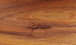 Rarefind Timber - Australian Blackwood