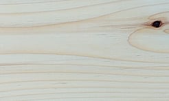 Rarefind Timber - Tanekaha