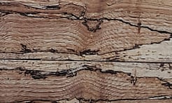 Rarefind Timber - Pin Oak