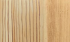 Rarefind Timber - Deodar Cedar