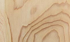 Rarefind Timber - Deodar Cedar