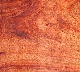 Rarefind Timber - Blackwood