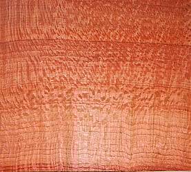 Rarefind Timber - Silly Oak