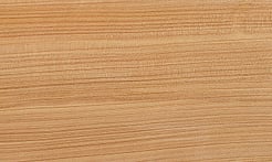 Rarefind Timber - Macrocarpa