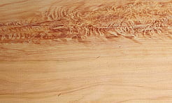 Rarefind Timber - Macrocarpa