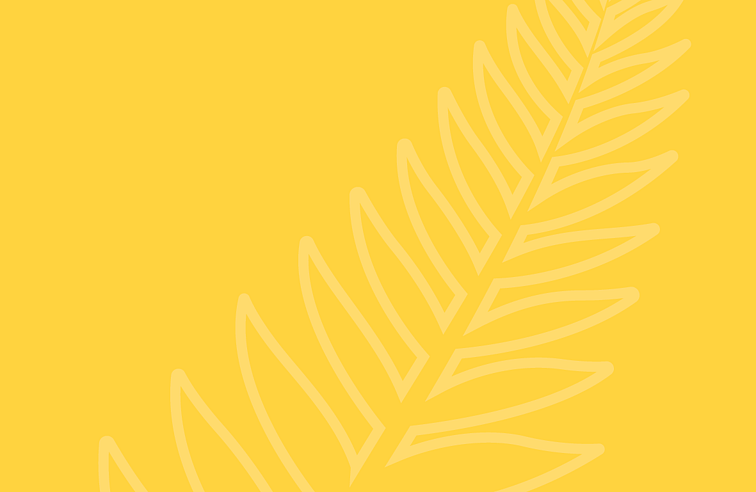 Button for NZSHS Aotearoa Statement