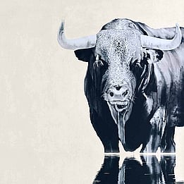 Wise as serpents, harmless as doves wall art nz