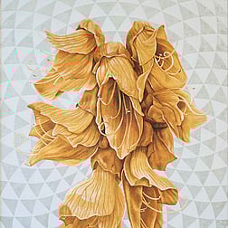 Canvas art prints - First Sight