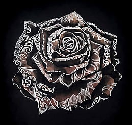 Contemporary Maori art - Midnight Rose