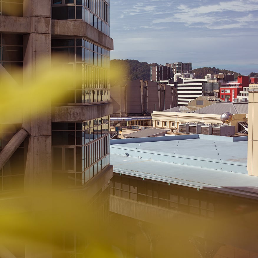 Urban cityscape view from a high building with a blurred foreground of foliage, showing buildings and distant hills