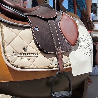 pravins sellier horse saddle and blanket on horse