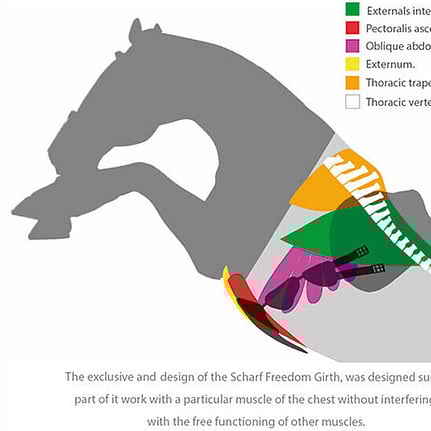 pravins sellier horse saddle and blanket on horse