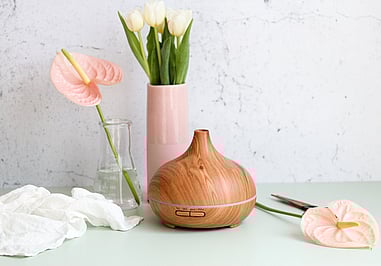 Best essential oil diffuser offered in NZ