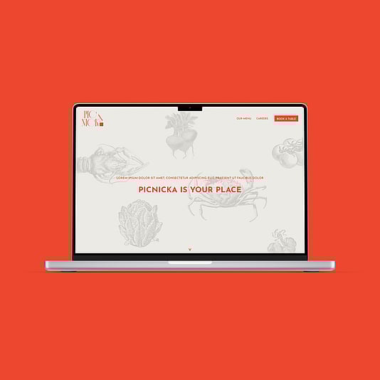 Picnicka Website