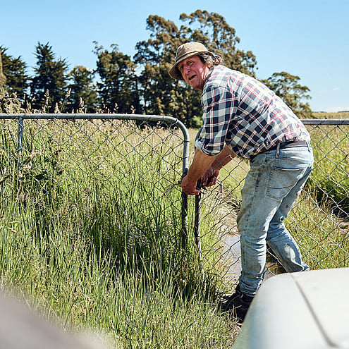 NZ Wool, Wollen Jersey, Hunter Hills, Farmstay, Organic Wool, Organic Meat, New Zealand Farm Experience, Hunter Hills, Working Farm, Timaru, Hunter Hills Organics, David Henderson