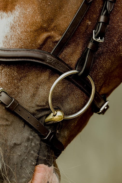 Horse Bridle Accessories