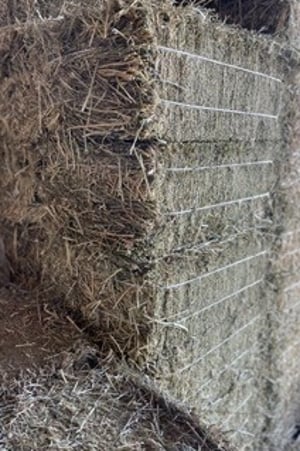 Hay and Baleage