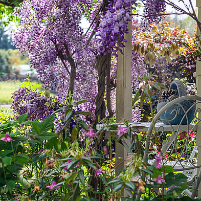 Property Photography