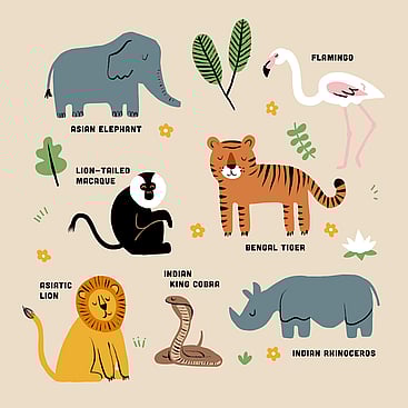 Childrens illustration of Indian animals
