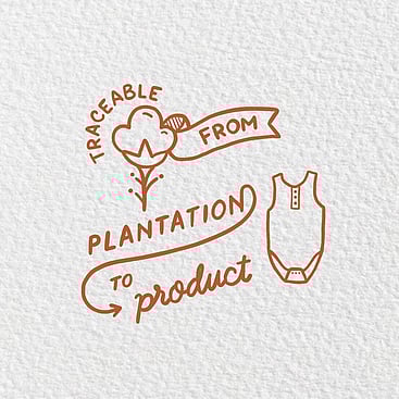 Illustration for Kauri and Sons &ndash; Traceable from Plantation to Product