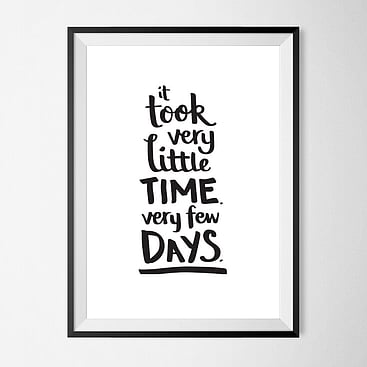 Typographic poster that says "It took very little time. Very few days." Quote from Kings of Summermovie 