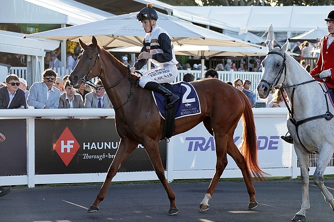 Elle Sourit (NZ) returns to scale.