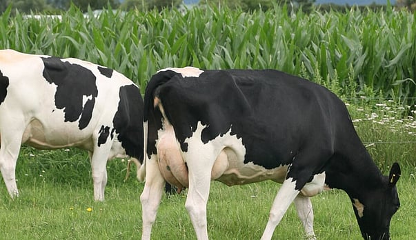 Coating controls PCU quality