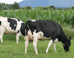 Coating controls PCU quality