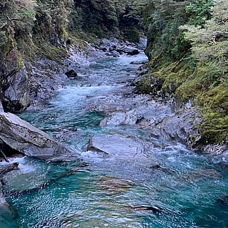 Physio wanting work in NZ