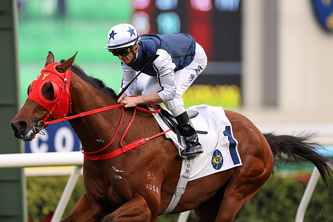 A trip to Dubai for the Gr.1 Al Quoz Sprint (1200m) on March 28 still an option for Fast Network. -  Photo: HKJC