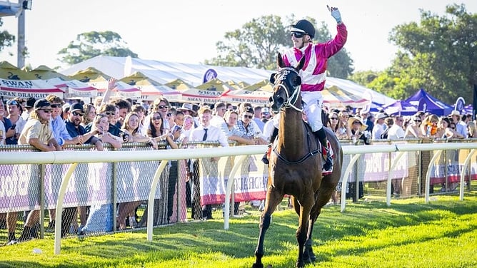 Arcadia Park (NZ) (Ocean Park) winning the Bunbury Cup outright for the leading owner-breeder on Saturday. - (Photo / Western Racepix)