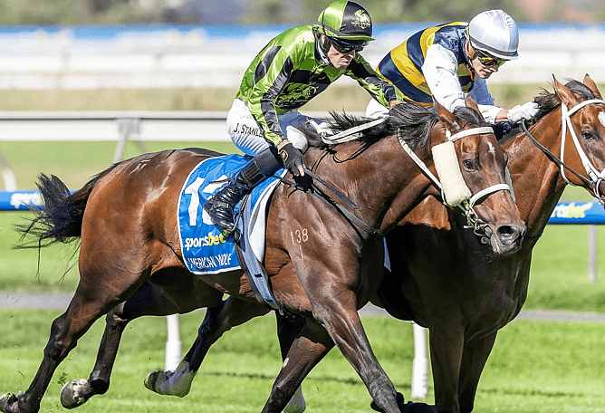 American Wolf - Photo: supplied