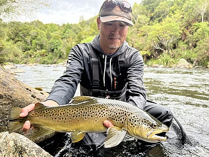 robfishnz trout guide fly fishing north island trout