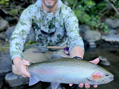 Taupo Guide North Island Fly Fishing Guide