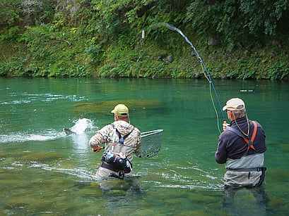 Rainbow Trout Turangi North Island Guide